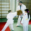https://ju-jutsu-waldkraiburg.de/Artikel/2004_Starflinger.pdf https://ju-jutsu-waldkraiburg.de/Artikel/2004_Starflinger.pdf